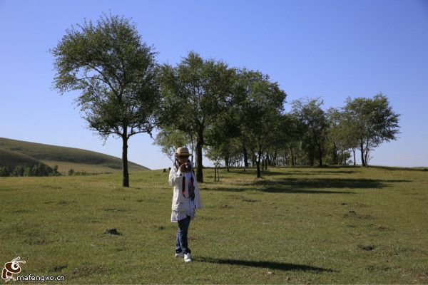 豐寧壩上旅游攻略圖片