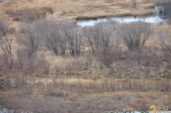 豐寧壩上旅游攻略圖片