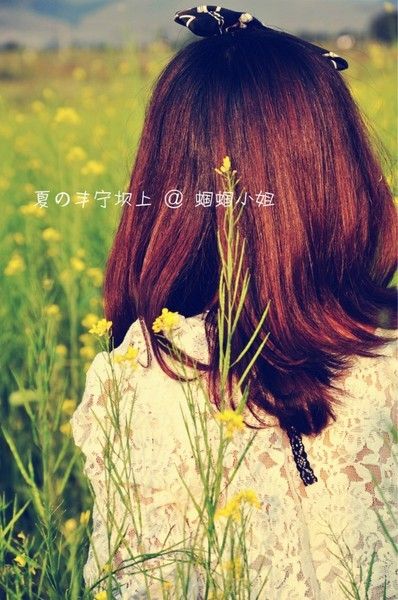 豐寧壩上圖片