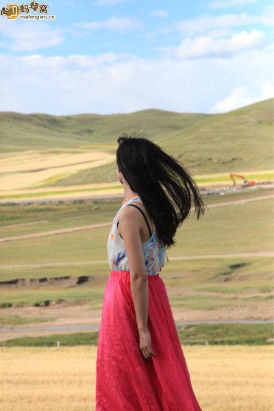 豐寧壩上圖片