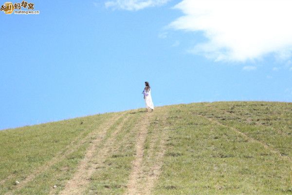 豐寧壩上圖片