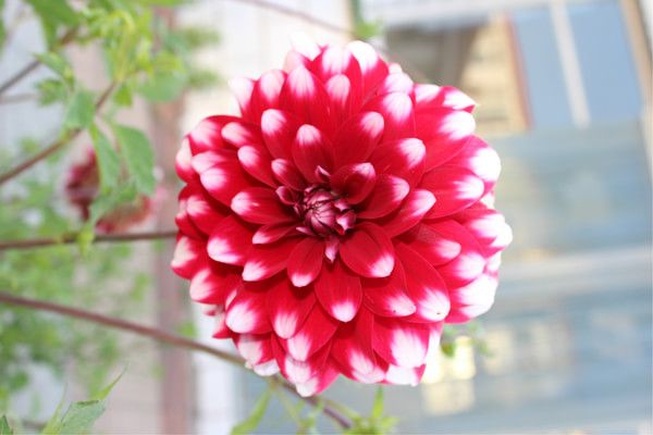 豐寧壩上自助游圖片