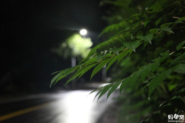 豐寧壩上景點圖片