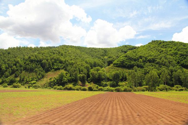 錫林郭勒自助游圖片