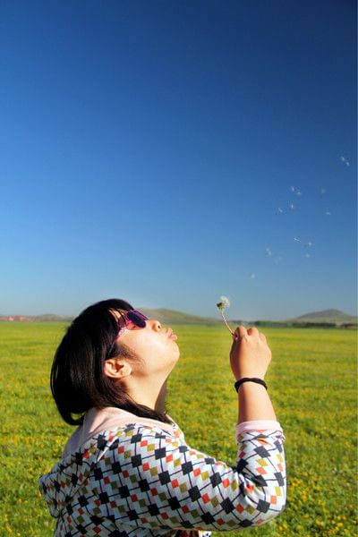 錫林郭勒旅游攻略圖片