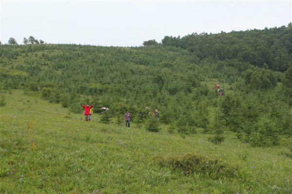 豐寧壩上旅游攻略圖片