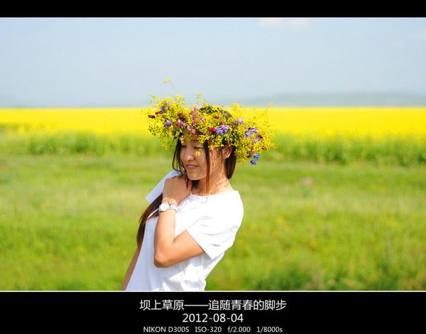 豐寧壩上圖片