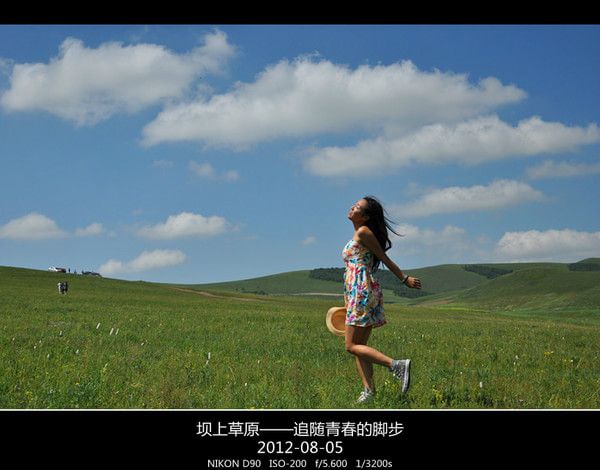 豐寧壩上圖片