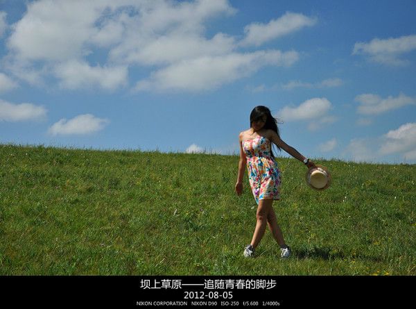 豐寧壩上自助游圖片