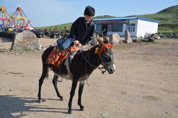 豐寧壩上旅游攻略圖片