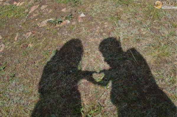 豐寧壩上自助游圖片