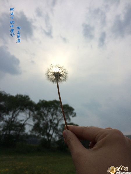 豐寧壩上景點(diǎn)圖片