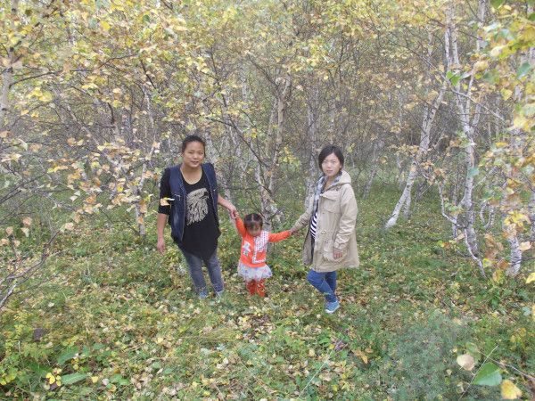 豐寧壩上自助游圖片