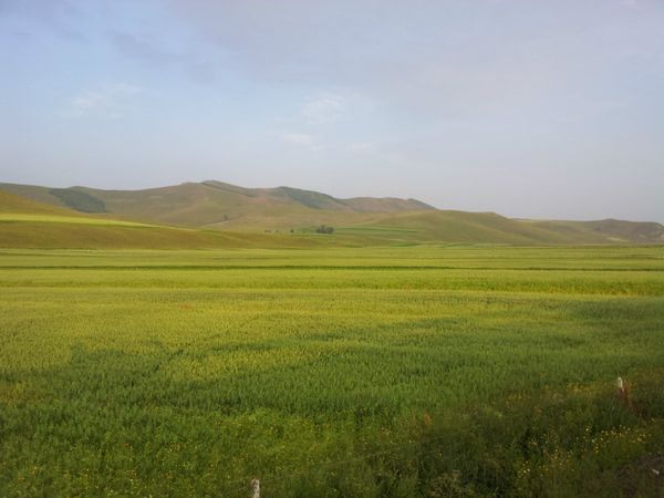 豐寧壩上旅游攻略圖片
