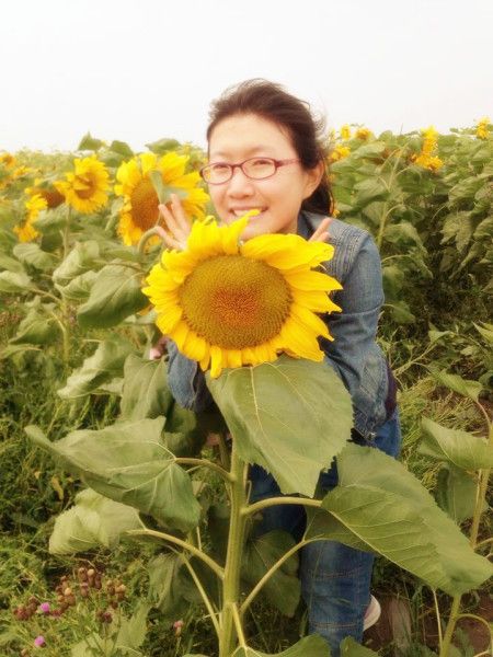 壩上草原自助游圖片
