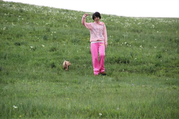 豐寧壩上景點圖片