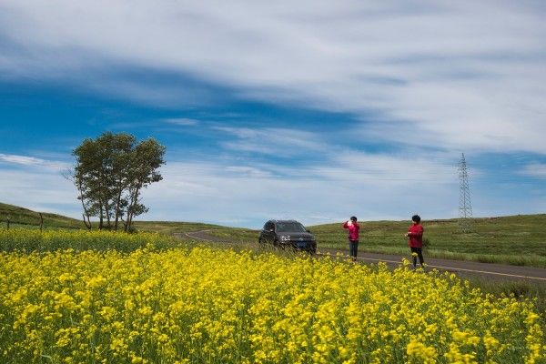 豐寧壩上旅游攻略圖片