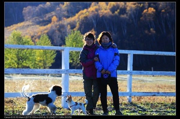 豐寧壩上旅游攻略圖片
