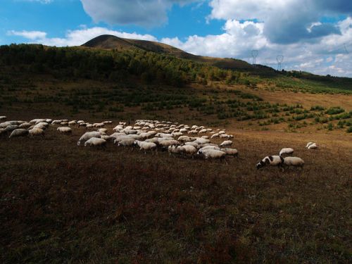 老柵子_東猴頂_孤石軍馬場_西猴頂_深度徒步騎馬穿越