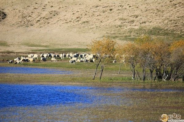 金秋木蘭圍墻壩上之旅