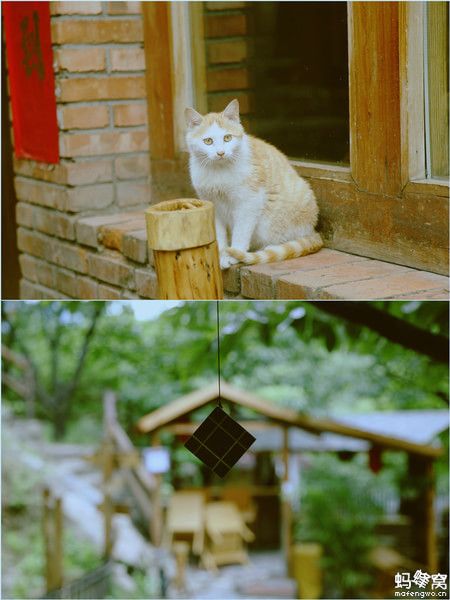 端午出發(fā)天津 壩上自駕游
