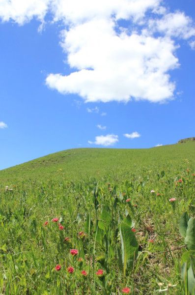 端午穿越豐寧壩上草原 冰山梁 老掌溝 傳奇莊園