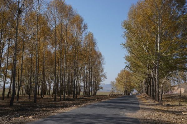兩輛自行車 兩個(gè)人的壩上國(guó)慶騎行記