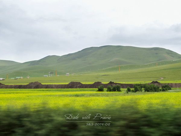 【豐寧壩上】七夕 我和草原有個(gè)約會(huì)