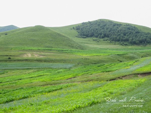 【豐寧壩上】七夕 我和草原有個(gè)約會(huì)