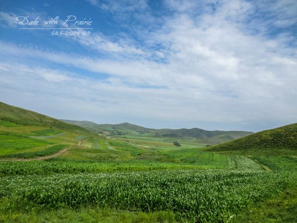 【豐寧壩上】七夕 我和草原有個(gè)約會(huì)