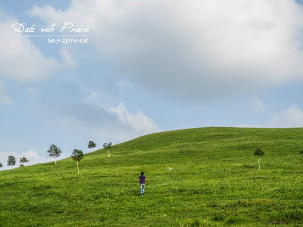 【豐寧壩上】七夕 我和草原有個(gè)約會(huì)