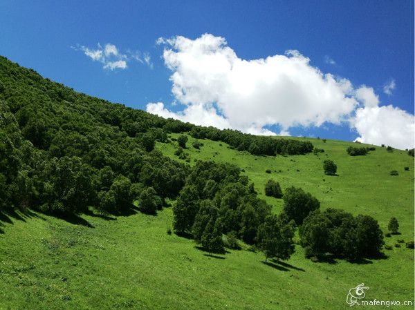 居庸關(guān)長(zhǎng)城 張家口 草原天路 灤河神韻 壩上行