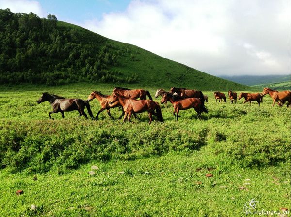 居庸關(guān)長(zhǎng)城 張家口 草原天路 灤河神韻 壩上行