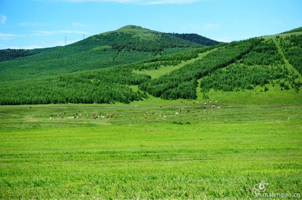 居庸關(guān)長(zhǎng)城 張家口 草原天路 灤河神韻 壩上行