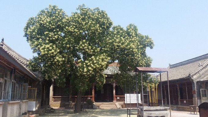 豐寧草原 承德避暑山莊 古水北鎮(zhèn)兩日游