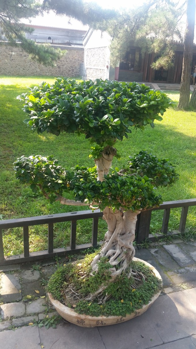 豐寧草原 承德避暑山莊 古水北鎮(zhèn)兩日游