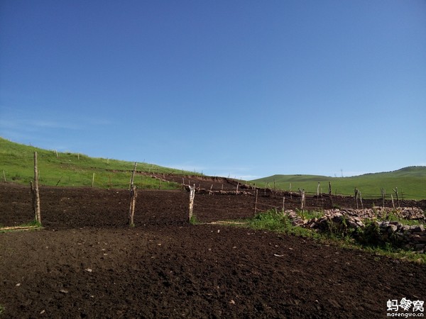 壩上草原自駕游