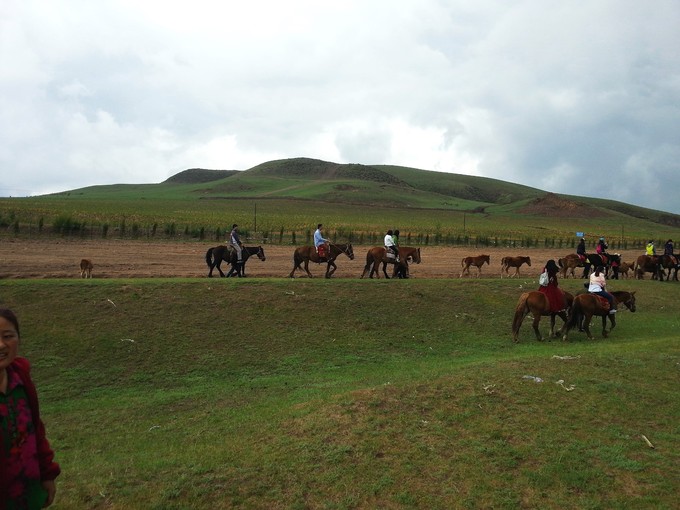 豐寧壩上草原旅游+團(tuán)建