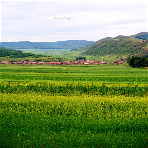 豐寧草原兩日游