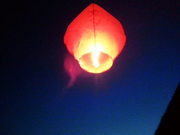被風(fēng)吹過(guò)的夏天在壩上