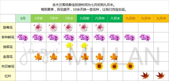 被風(fēng)吹過(guò)的夏天在壩上