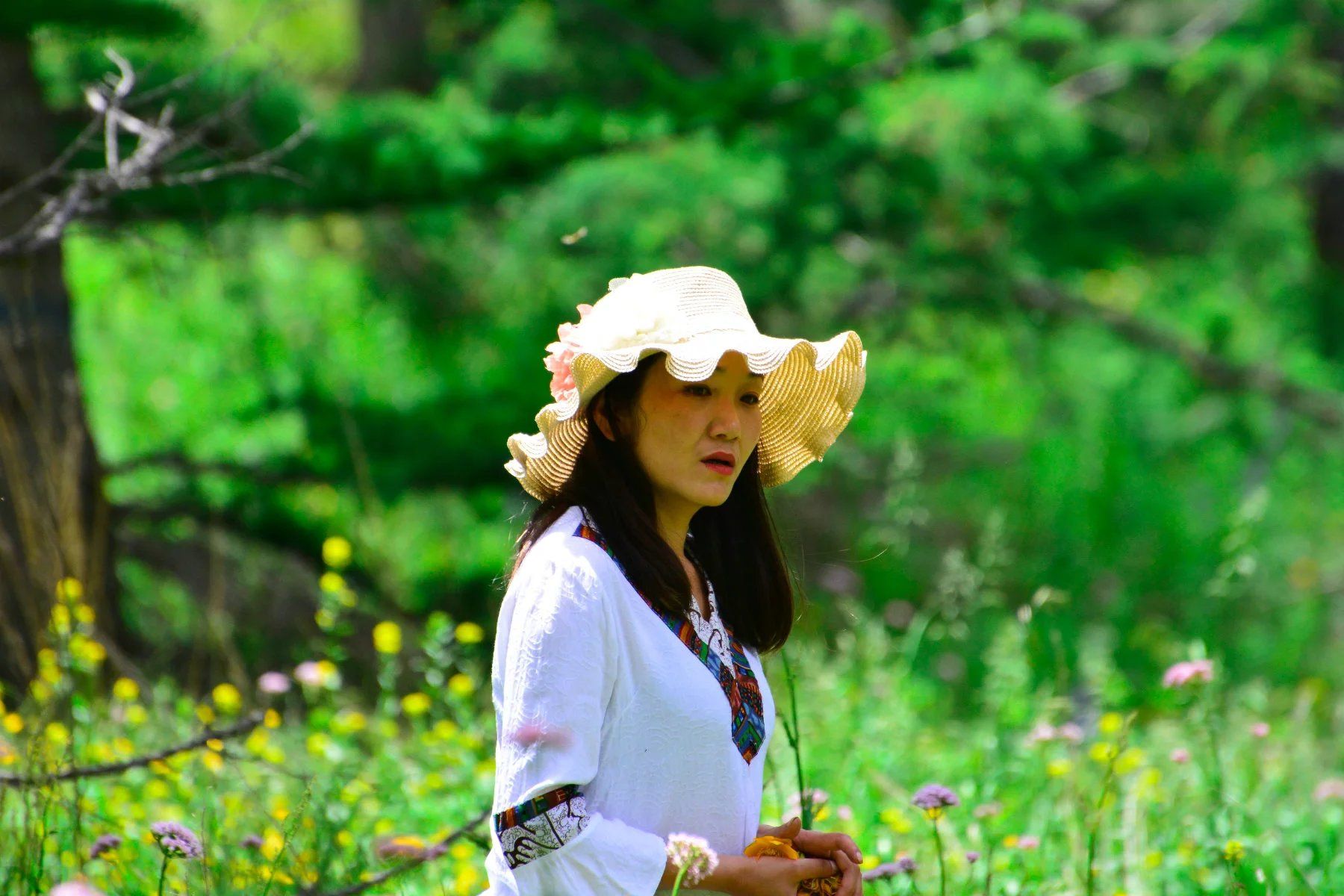 豐寧壩上 采花 追星