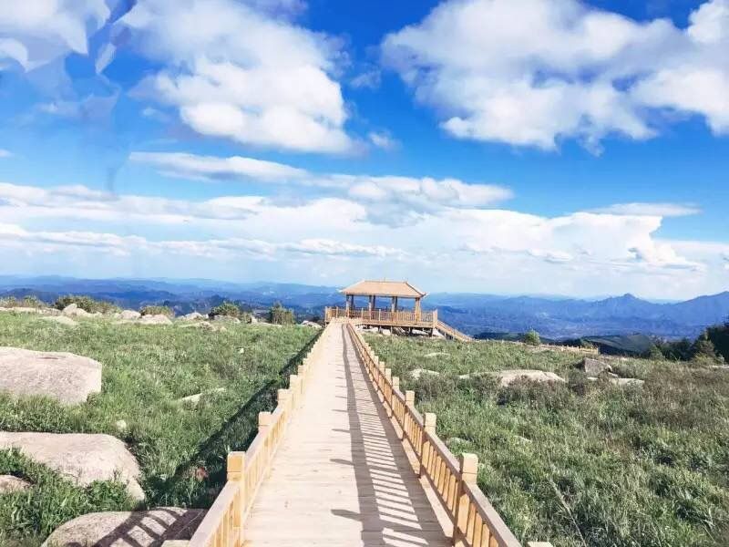 壩上草原的初夏，更像萬物復(fù)蘇的春天