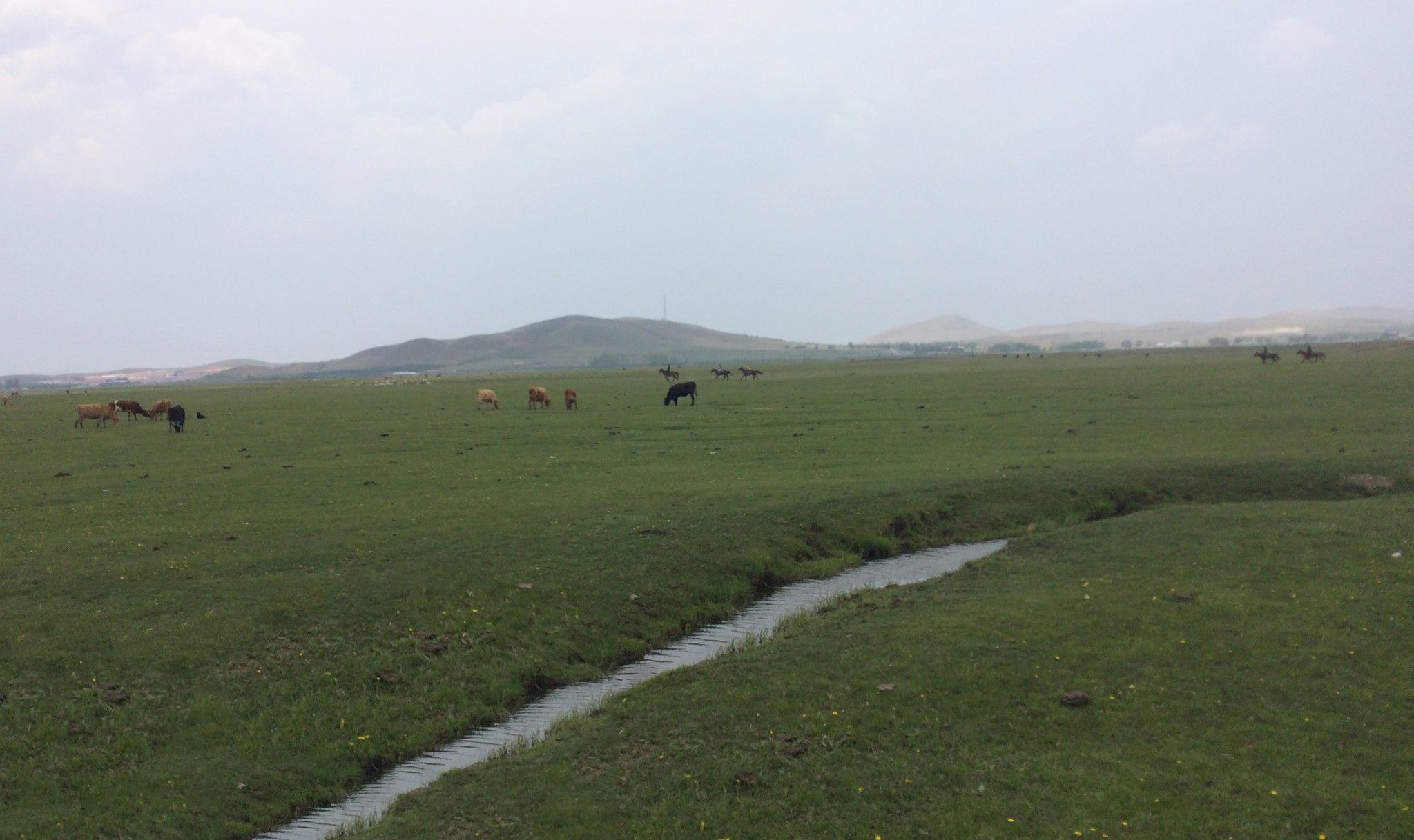 風(fēng)沙、閃電、暴雨、美景、美食、美酒&mdash;豐寧壩上草原