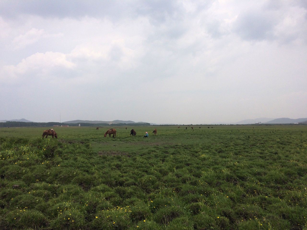 風(fēng)沙、閃電、暴雨、美景、美食、美酒&mdash;豐寧壩上草原