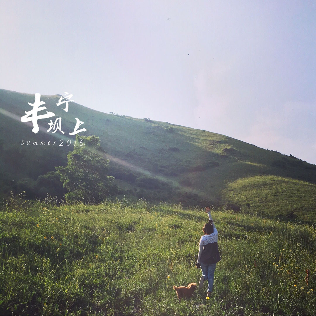 豐寧壩上草原