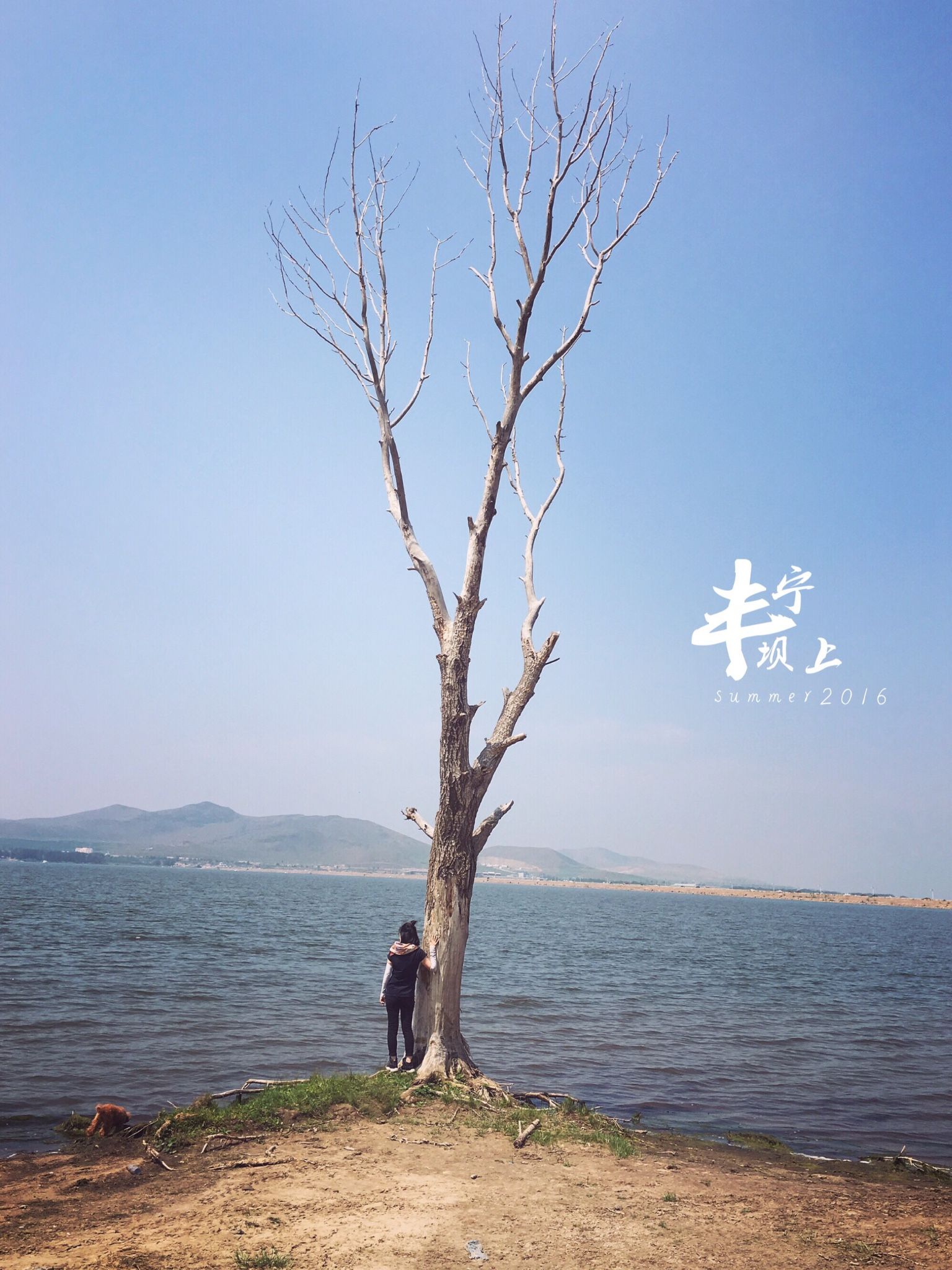 豐寧壩上草原