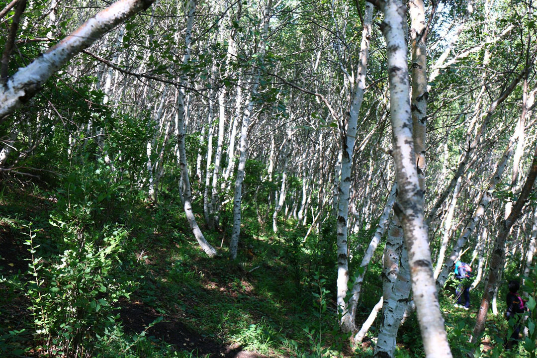 豐寧壩上草原,豐寧京北草原