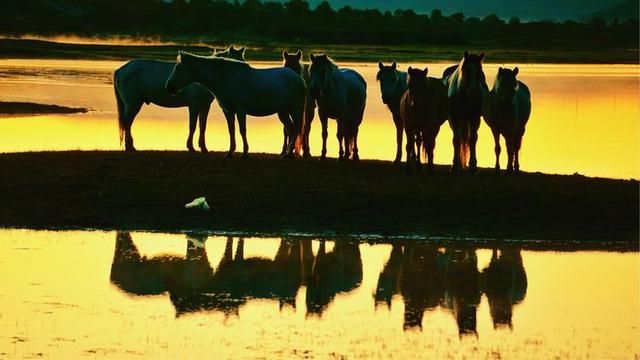 豐寧壩上草原,豐寧京北草原