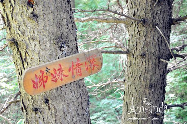 豐寧壩上草原